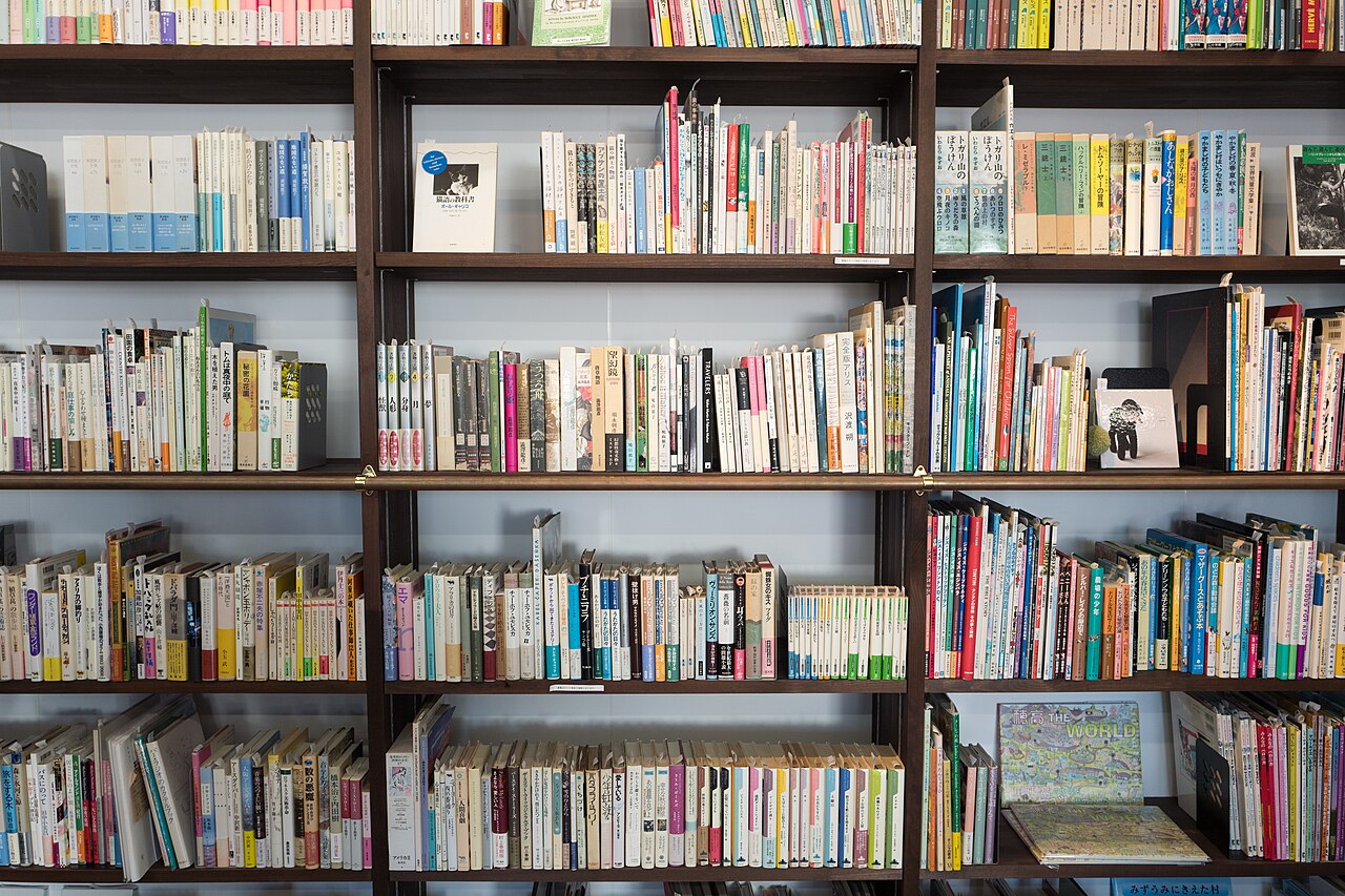 Shelves filled with colorful books