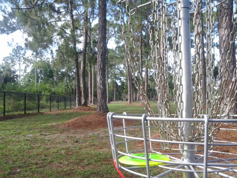 Disc golf basket beside a wooded fairway